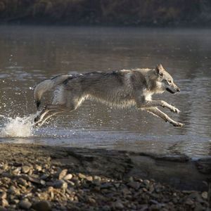 Meet your Posher, Freya